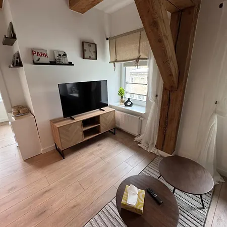 Apartment Centro 9